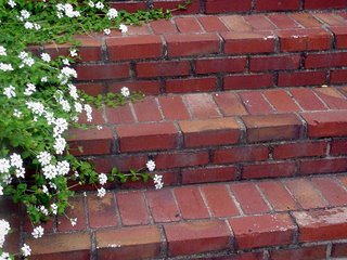 Brick Patio Steps